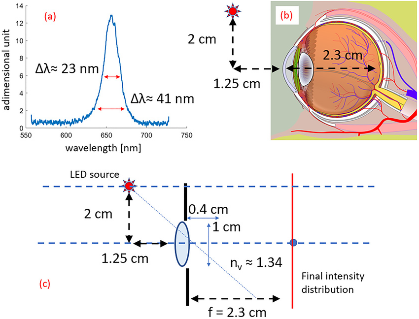 Illustrazione schematica della tecnologia di fotobiomodulazione PBM